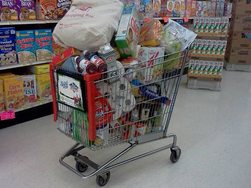 Shopping Baskets & Trolleys